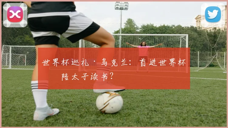 世界杯巡礼·乌克兰:首进世界杯,陪太子读书?